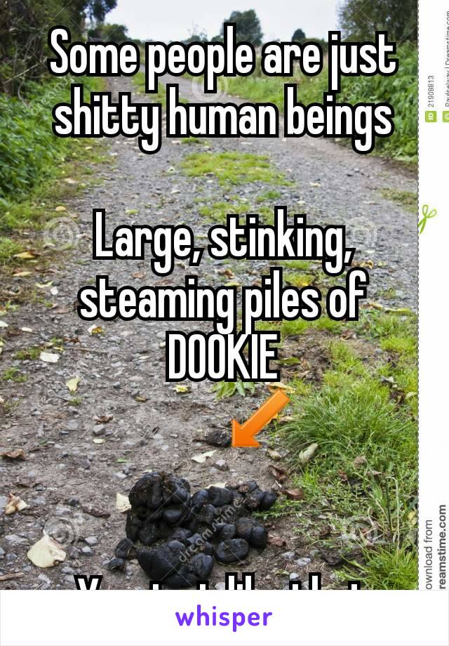 Some people are just shitty human beings

Large, stinking, steaming piles of
DOOKIE
        ↙


Yes, just like that
