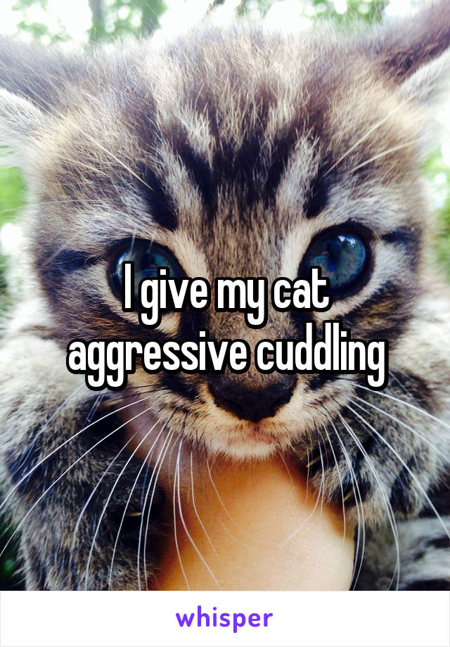 I give my cat aggressive cuddling