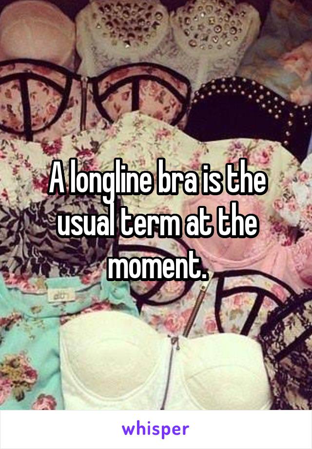 A longline bra is the usual term at the moment.