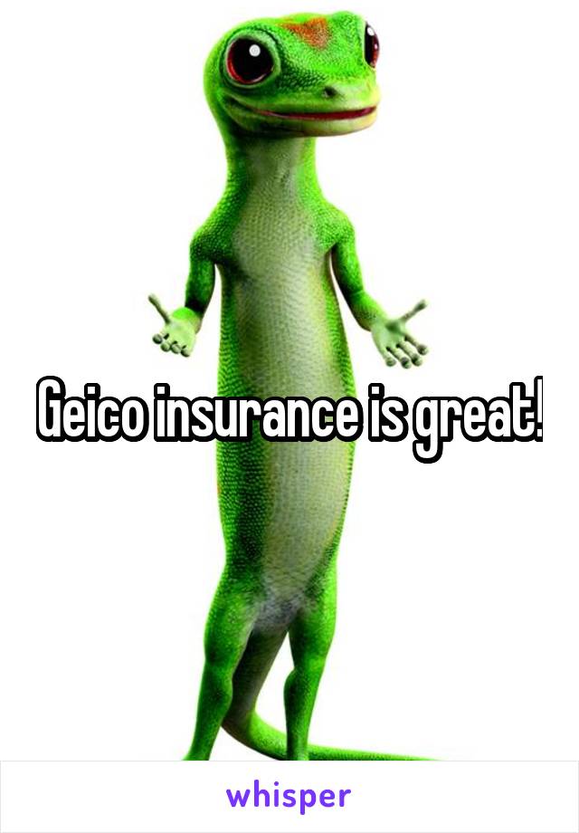 Geico insurance is great!