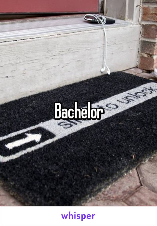 Bachelor