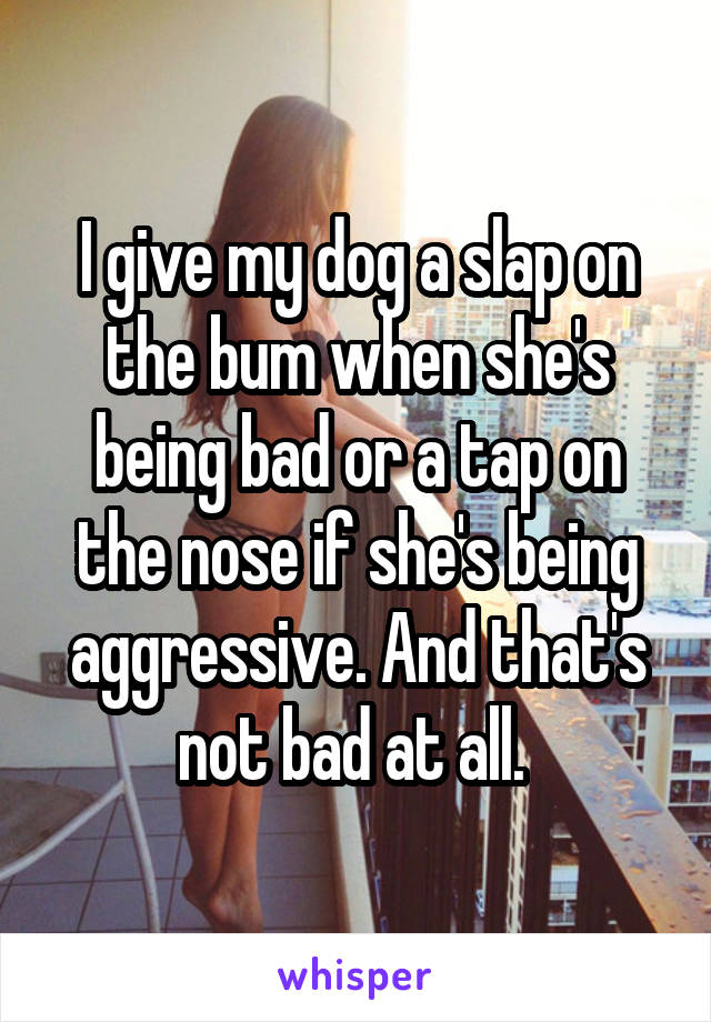 I give my dog a slap on the bum when she's being bad or a tap on the nose if she's being aggressive. And that's not bad at all. 