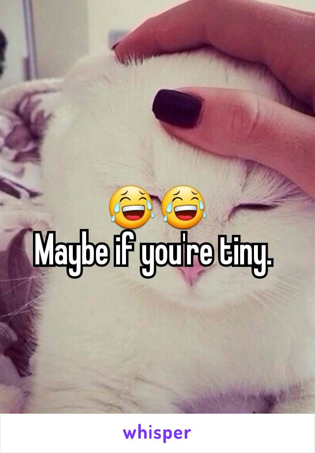 😂😂
Maybe if you're tiny. 