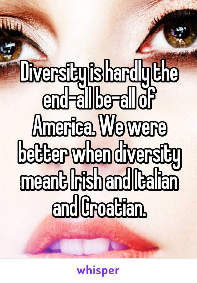 Diversity is hardly the end-all be-all of America. We were better when diversity meant Irish and Italian and Croatian.