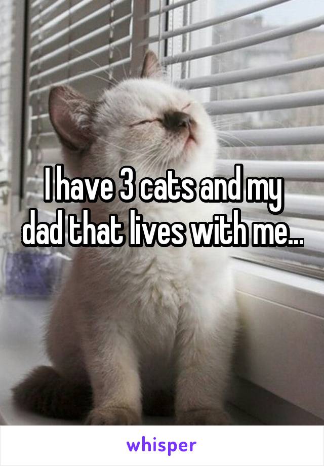 I have 3 cats and my dad that lives with me... 