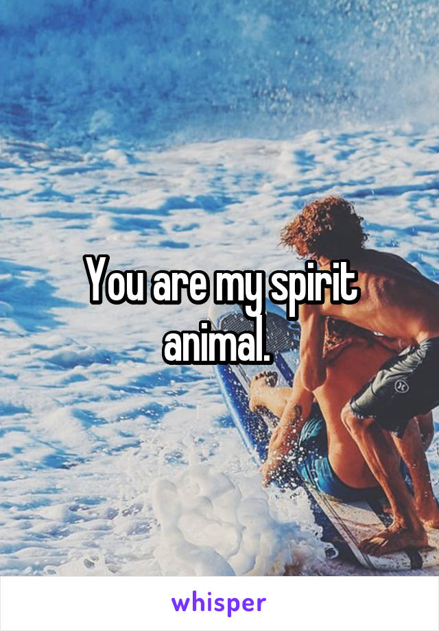 You are my spirit animal. 