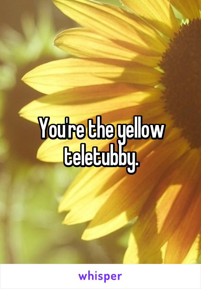 You're the yellow teletubby.