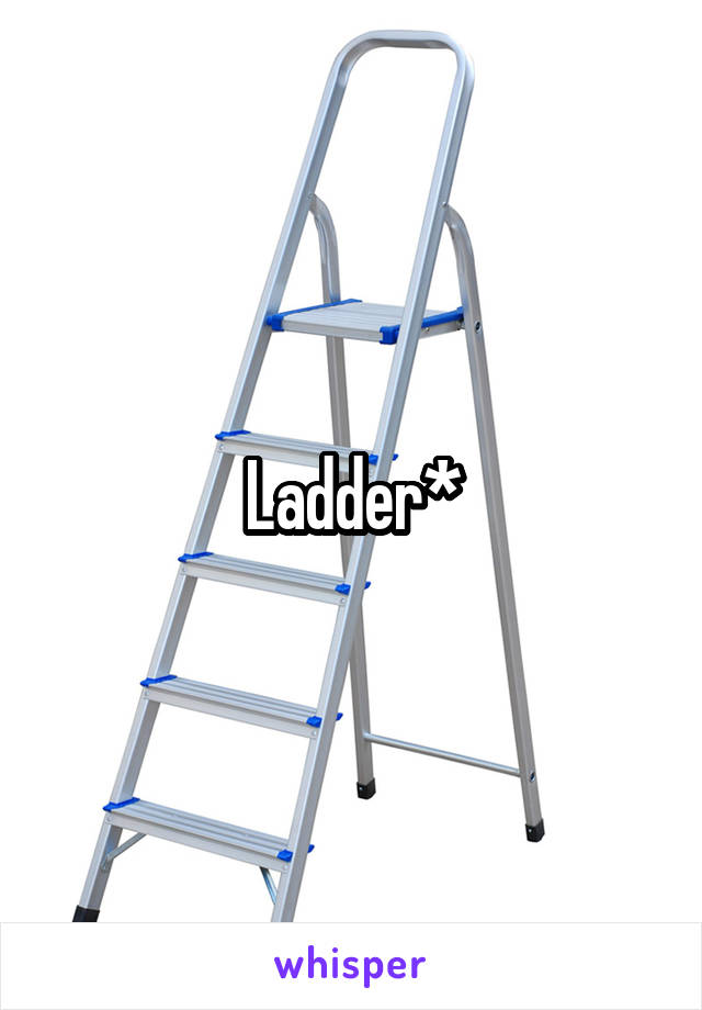 Ladder*