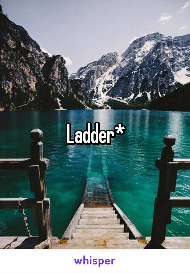 Ladder*