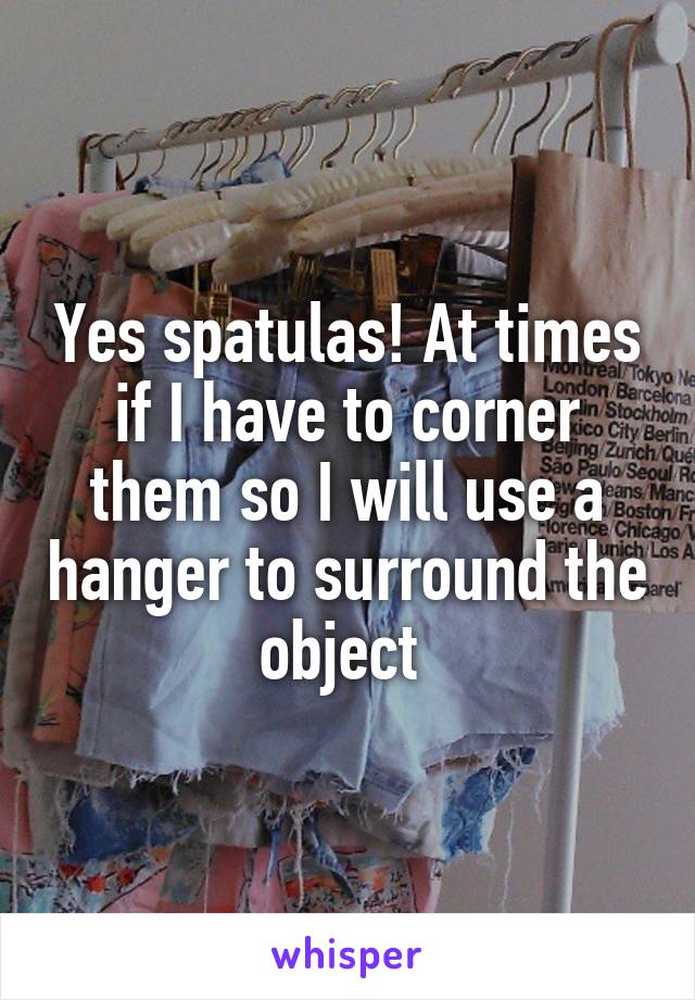 Yes spatulas! At times if I have to corner them so I will use a hanger to surround the object 