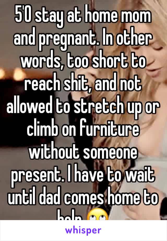 5'0 stay at home mom and pregnant. In other words, too short to reach shit, and not allowed to stretch up or climb on furniture without someone present. I have to wait until dad comes home to help 🙄