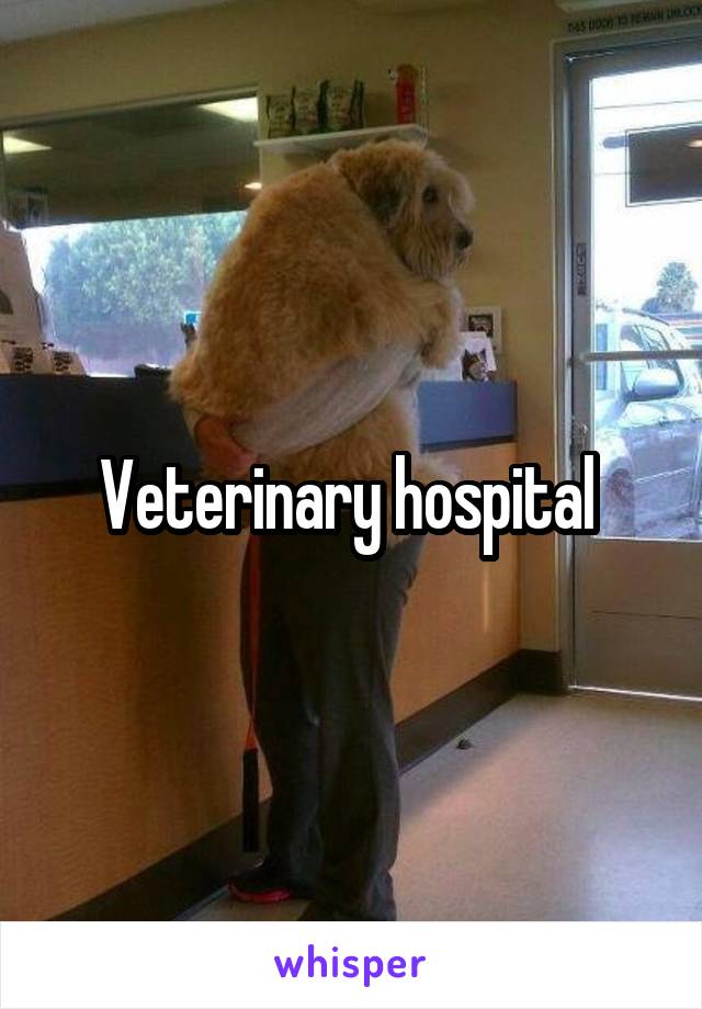Veterinary hospital 