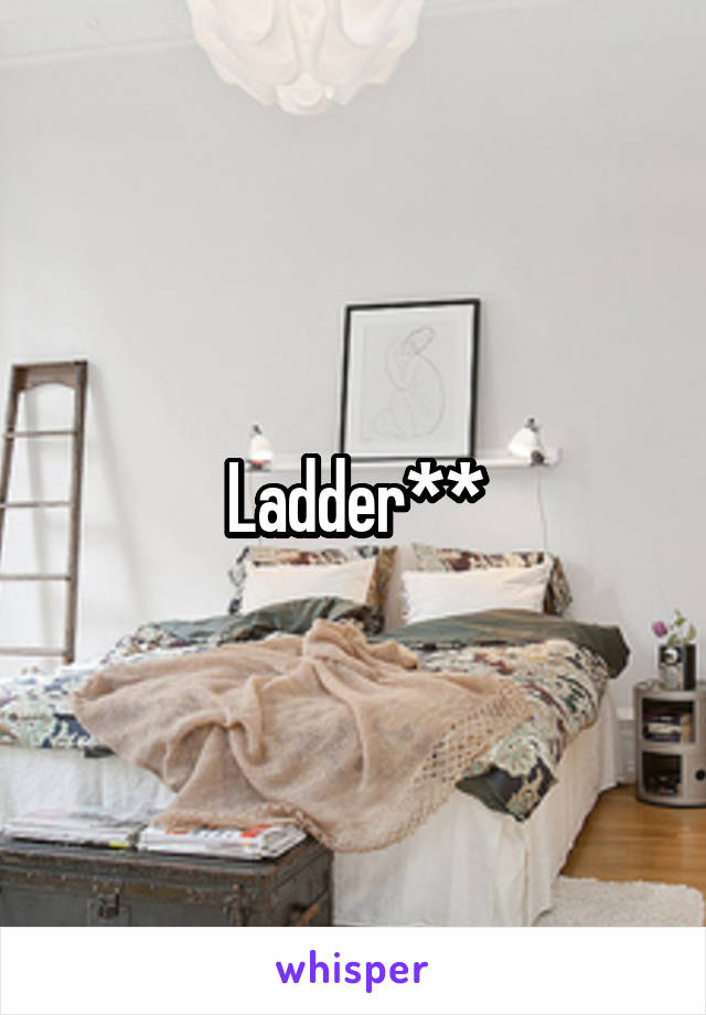 Ladder**