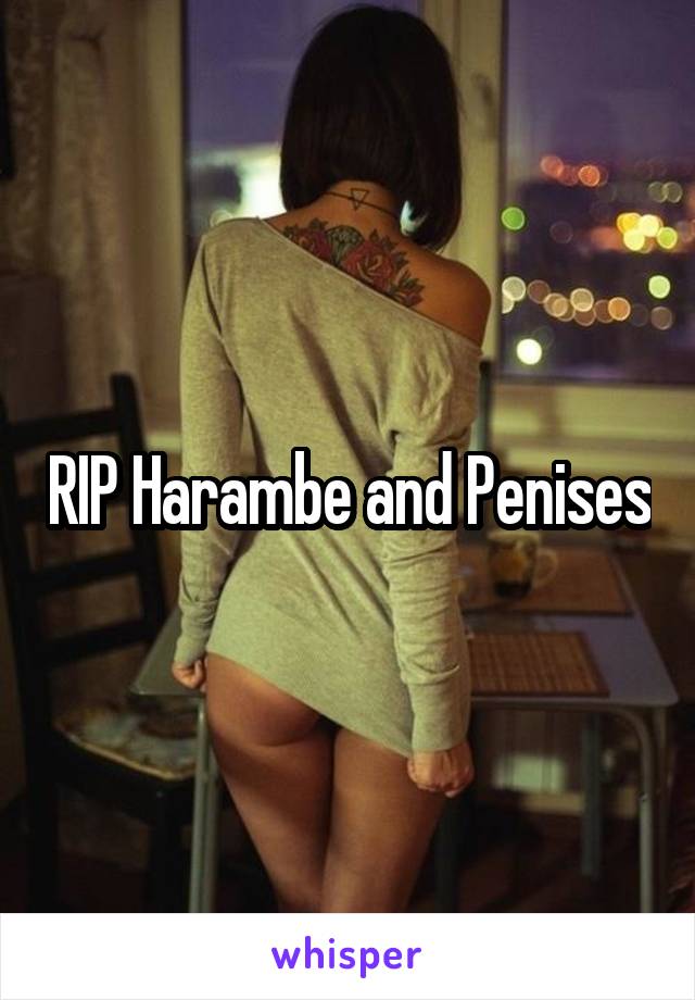 RIP Harambe and Penises