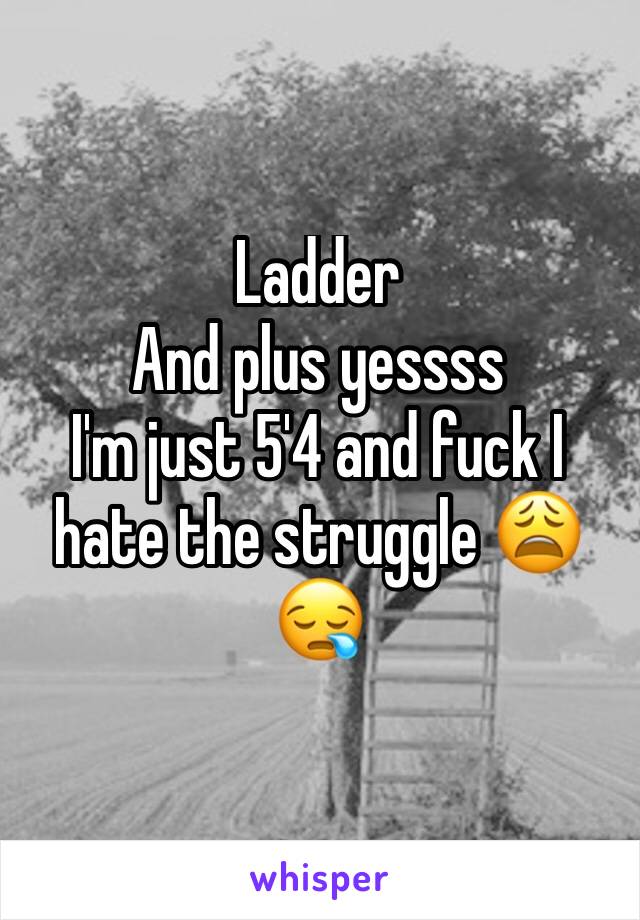 Ladder 
And plus yessss 
I'm just 5'4 and fuck I hate the struggle 😩😪