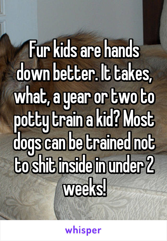 Fur kids are hands down better. It takes, what, a year or two to potty train a kid? Most dogs can be trained not to shit inside in under 2 weeks!