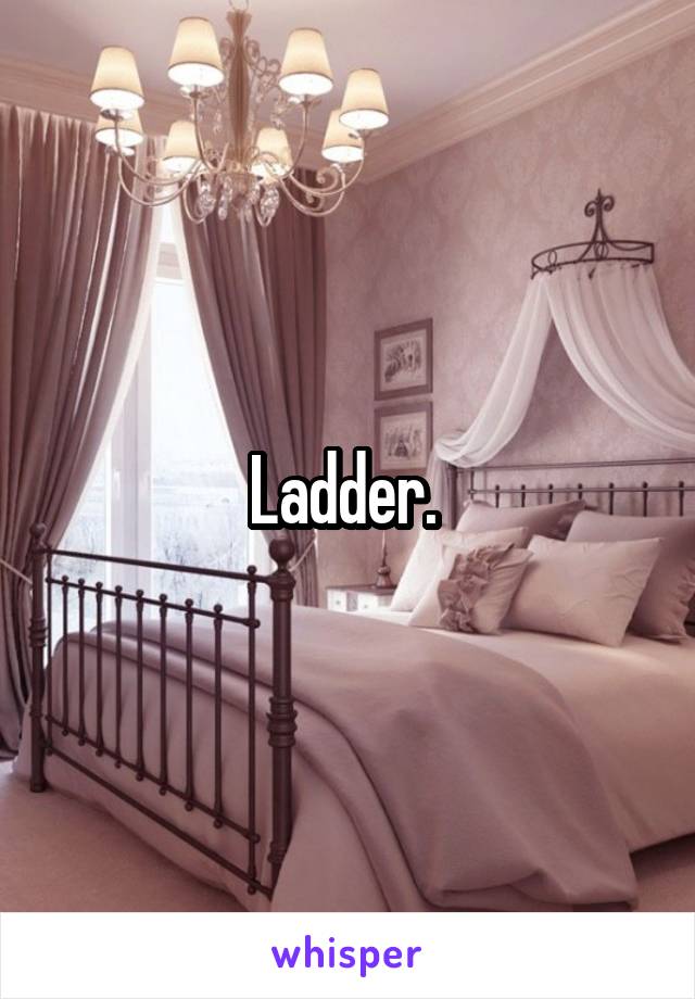 Ladder. 