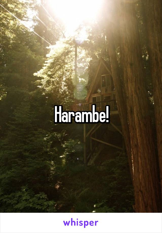 Harambe!