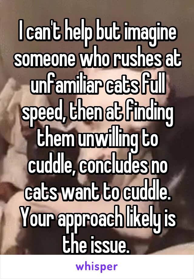 I can't help but imagine someone who rushes at unfamiliar cats full speed, then at finding them unwilling to cuddle, concludes no cats want to cuddle. Your approach likely is the issue. 