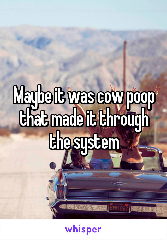 Maybe it was cow poop that made it through the system