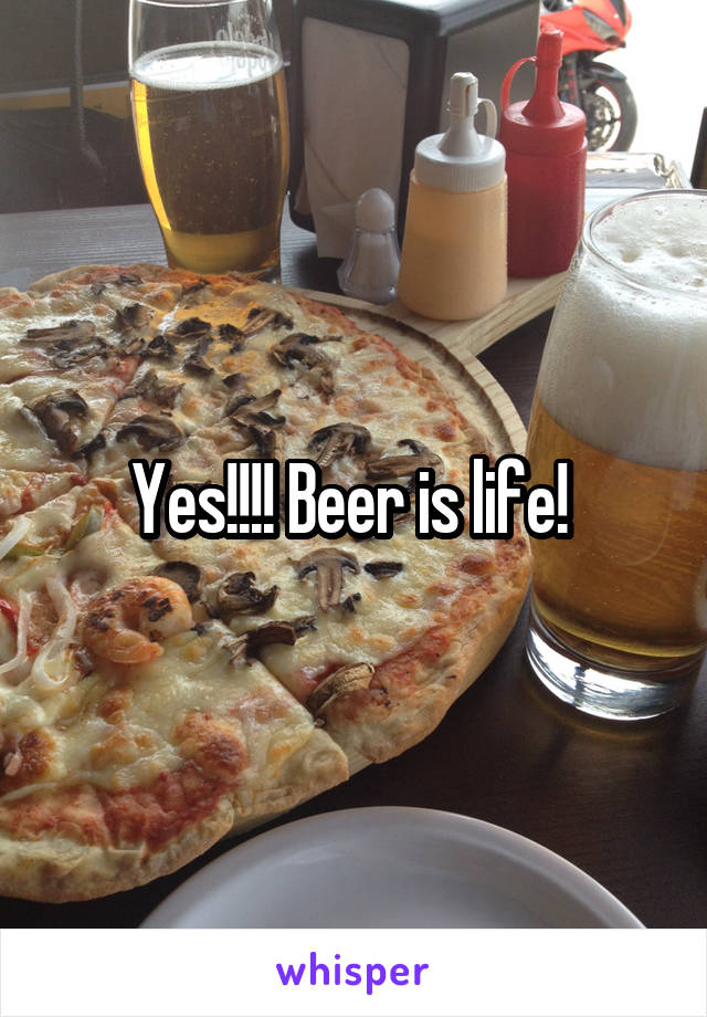 Yes!!!! Beer is life! 