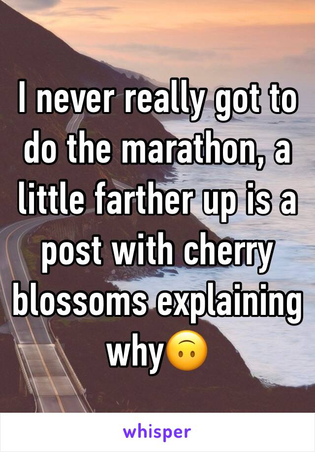 I never really got to do the marathon, a little farther up is a post with cherry blossoms explaining why🙃