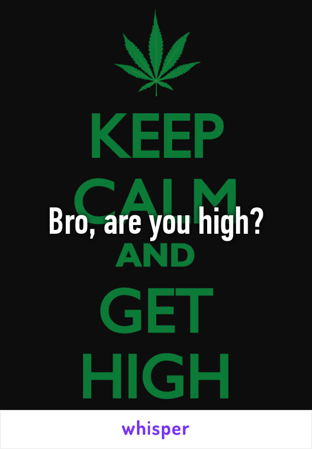 Bro, are you high?