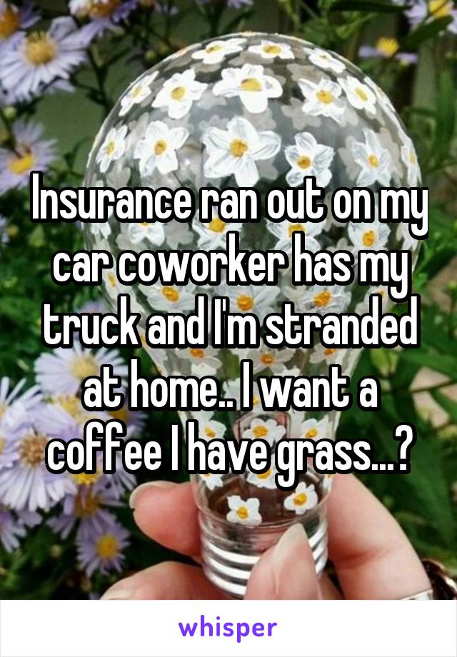 Insurance ran out on my car coworker has my truck and I'm stranded at home.. I want a coffee I have grass...?