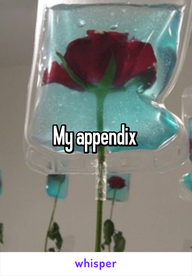 My appendix 