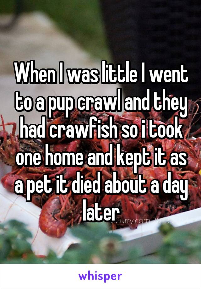 When I was little I went to a pup crawl and they had crawfish so i took one home and kept it as a pet it died about a day later
