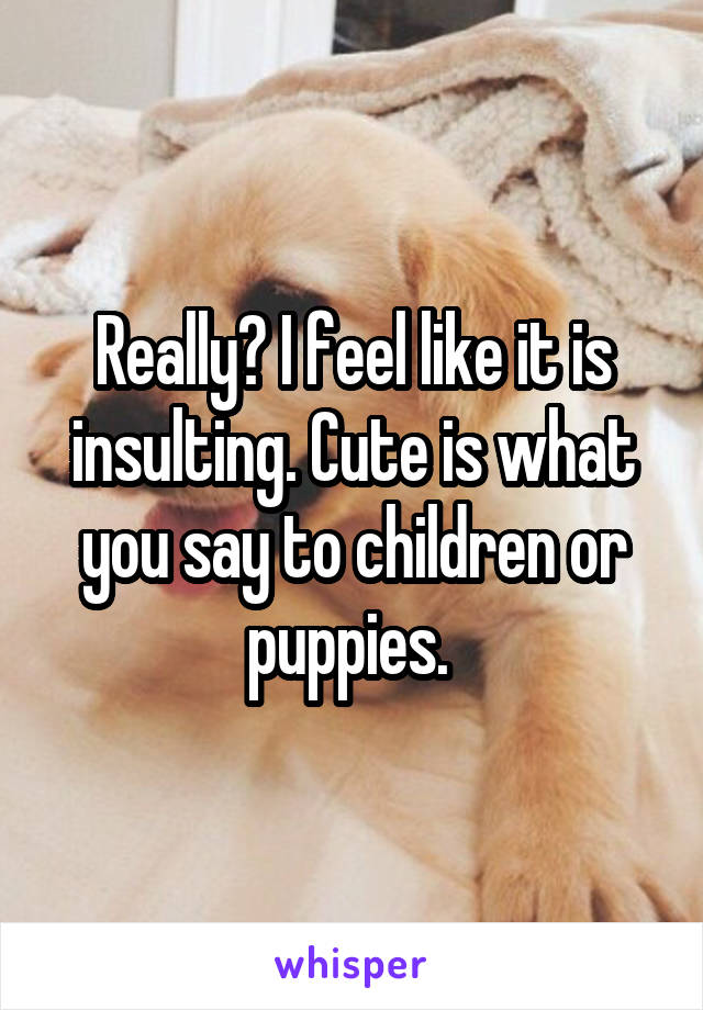 Really? I feel like it is insulting. Cute is what you say to children or puppies. 