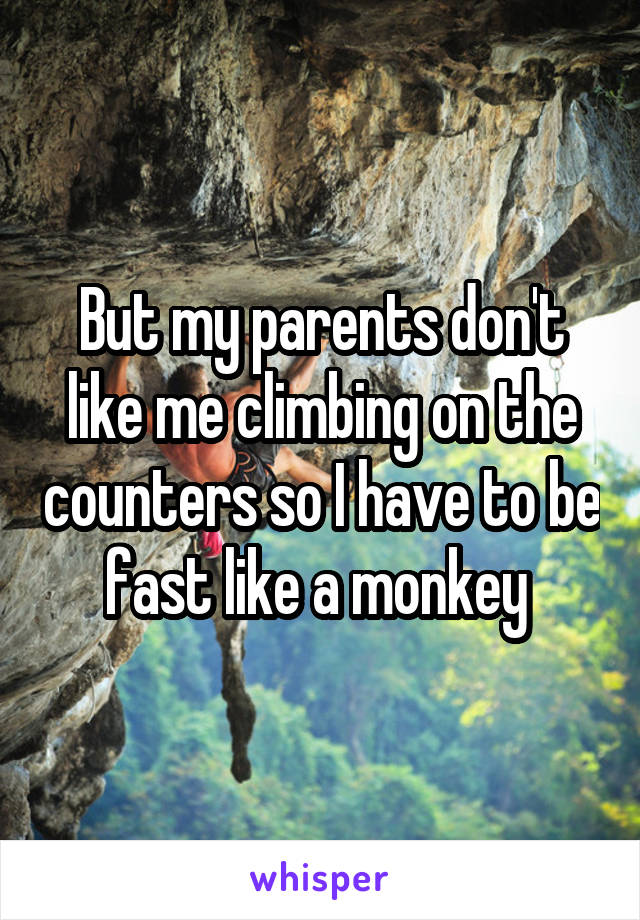 But my parents don't like me climbing on the counters so I have to be fast like a monkey 