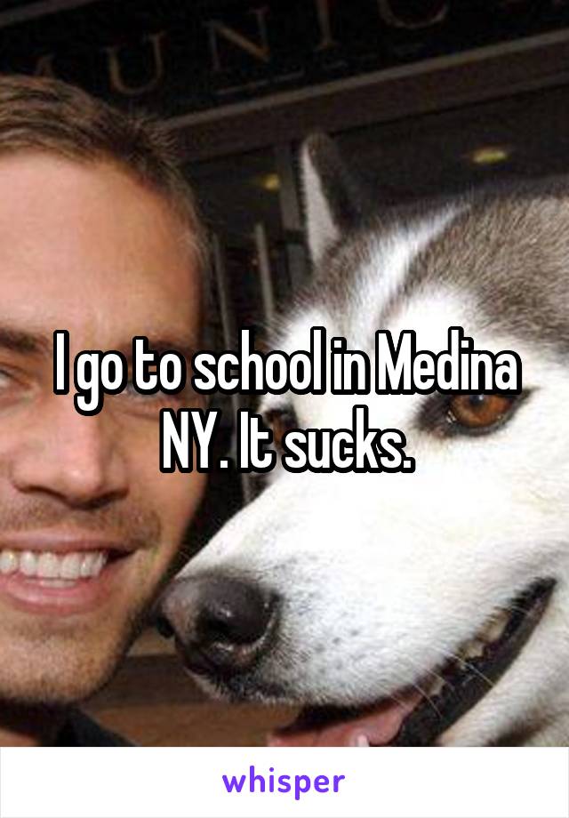 I go to school in Medina NY. It sucks.