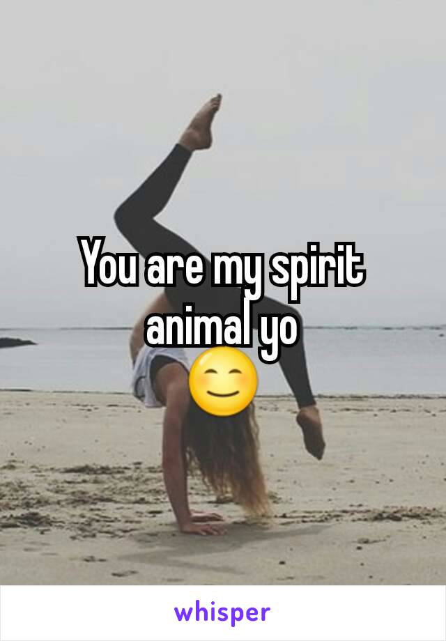 You are my spirit animal yo
😊