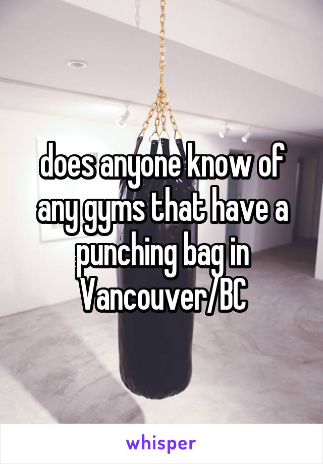 does anyone know of any gyms that have a punching bag in Vancouver/BC