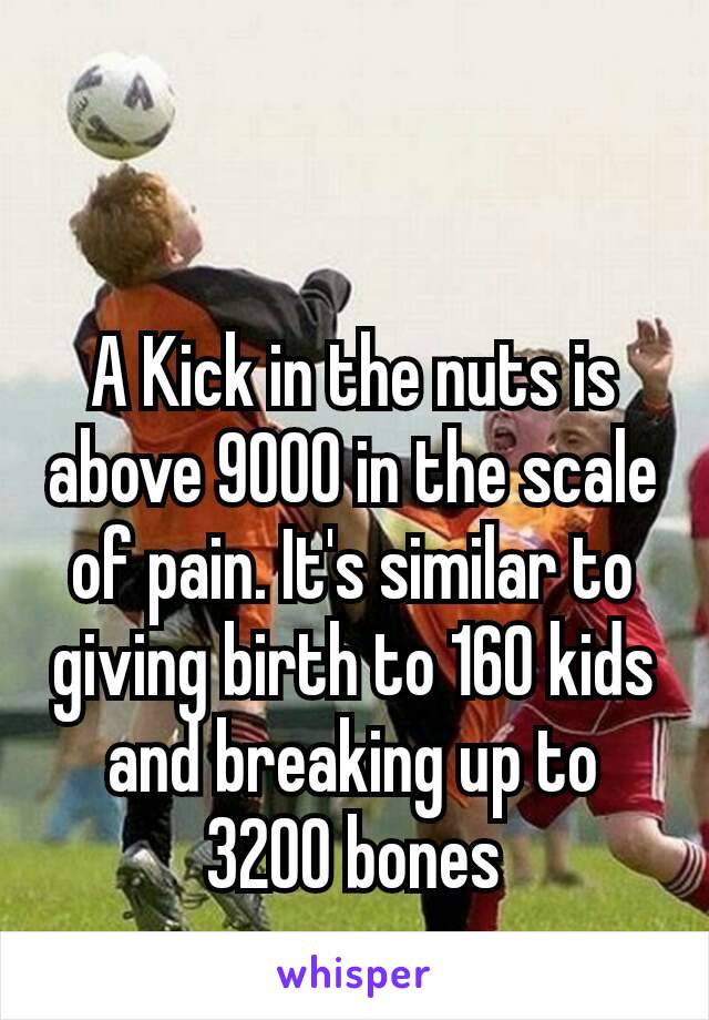  

A Kick in the nuts is above 9000 in the scale of pain. It's similar to giving birth to 160 kids and breaking up to 3200 bones