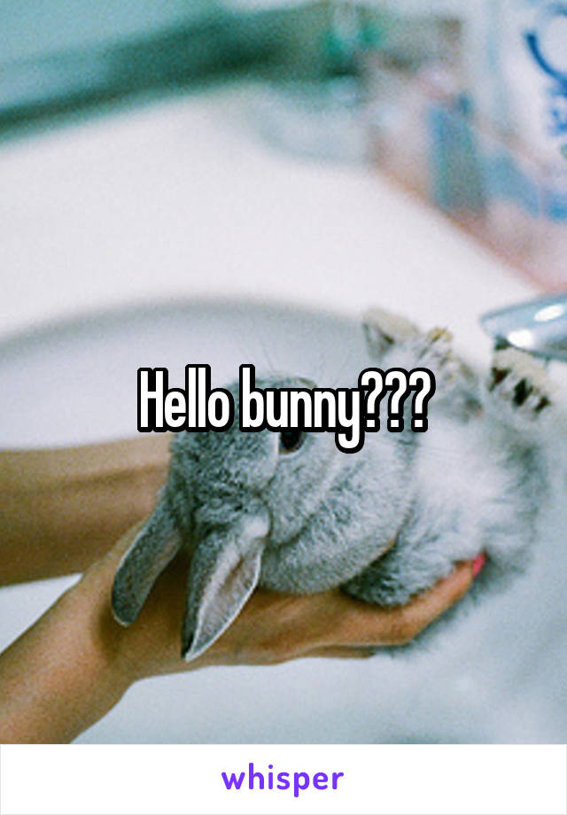 Hello bunny???