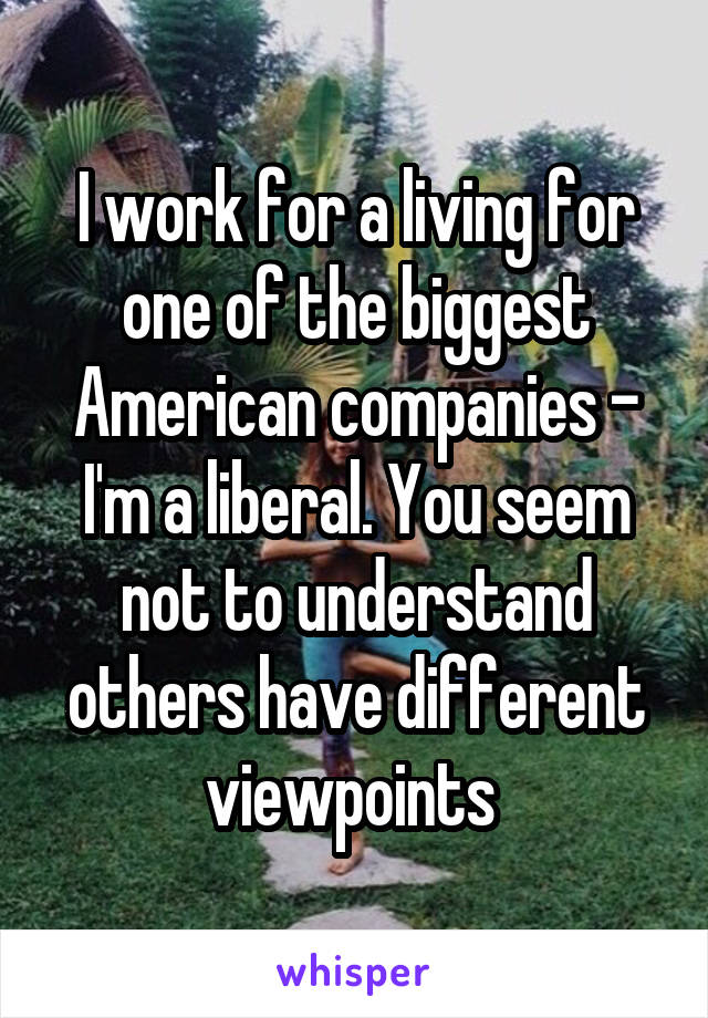 I work for a living for one of the biggest American companies - I'm a liberal. You seem not to understand others have different viewpoints 