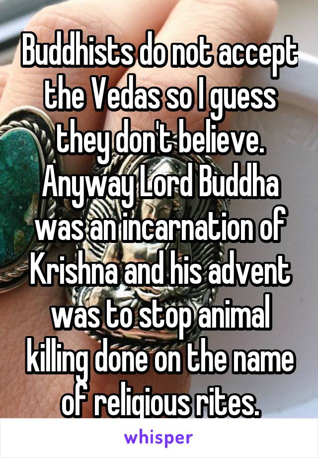 Buddhists do not accept the Vedas so I guess they don't believe. Anyway Lord Buddha was an incarnation of Krishna and his advent was to stop animal killing done on the name of religious rites.