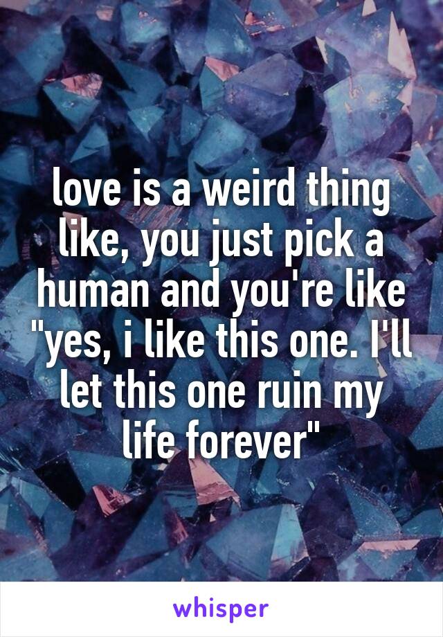 love is a weird thing like, you just pick a human and you're like "yes, i like this one. I'll let this one ruin my life forever"