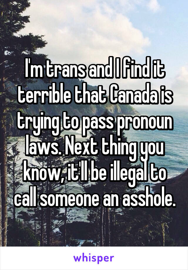 I'm trans and I find it terrible that Canada is trying to pass pronoun laws. Next thing you know, it'll be illegal to call someone an asshole.