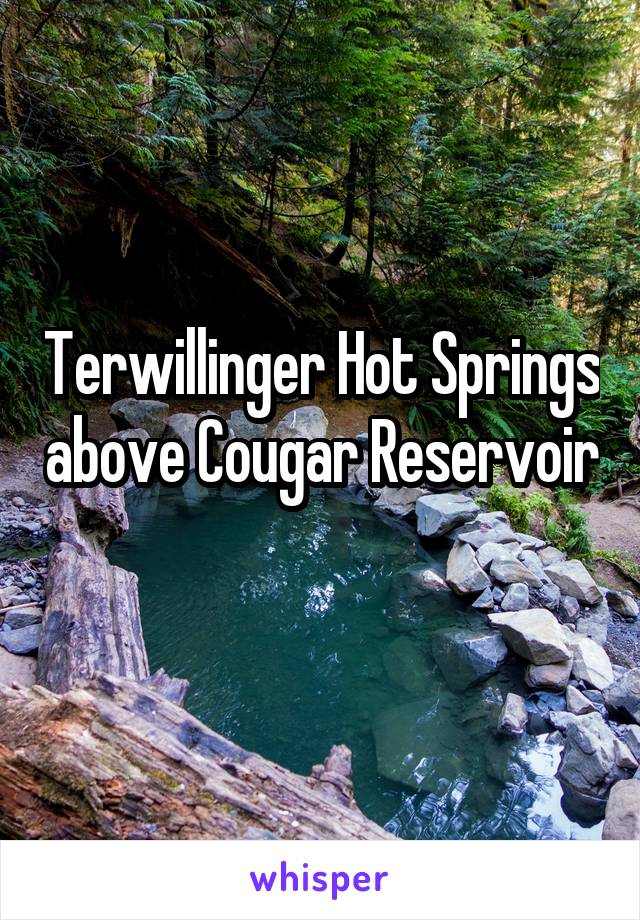 Terwillinger Hot Springs above Cougar Reservoir 