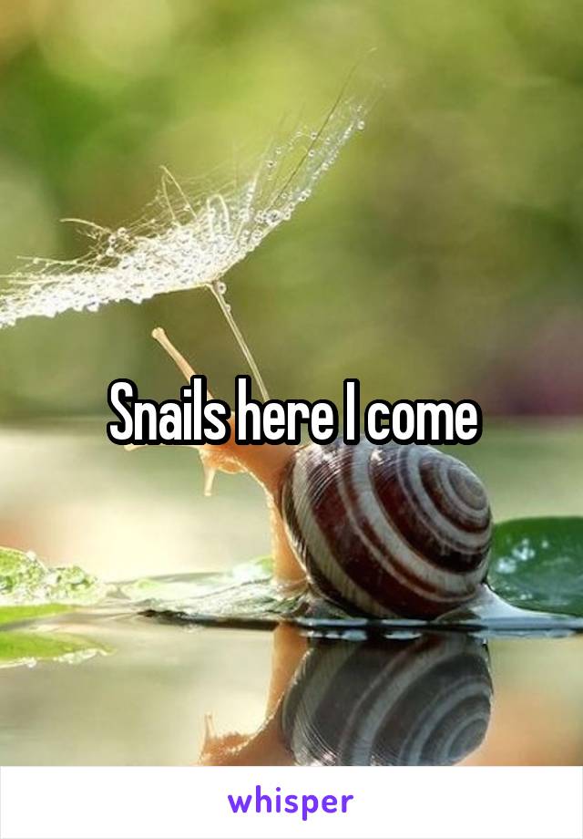 Snails here I come