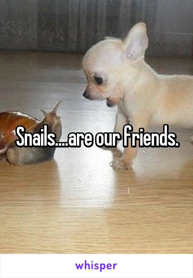 Snails....are our friends.