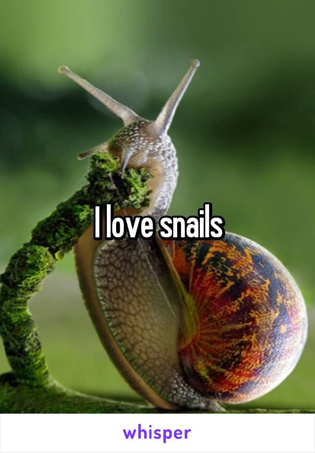 I love snails