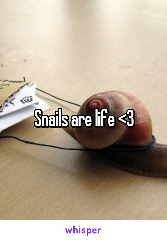 Snails are life <3