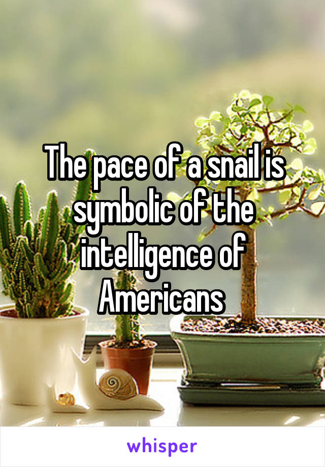 The pace of a snail is symbolic of the intelligence of Americans 