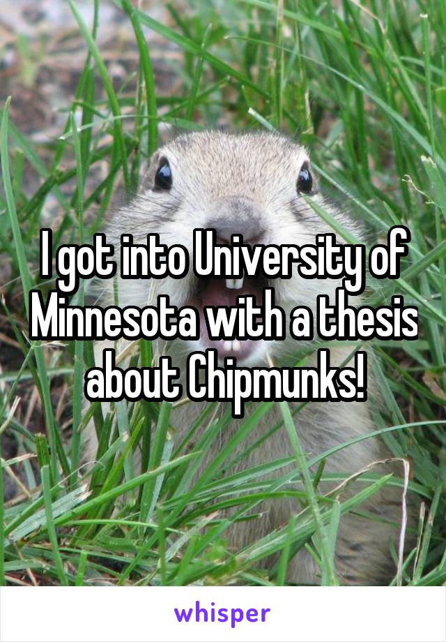 I got into University of Minnesota with a thesis about Chipmunks!