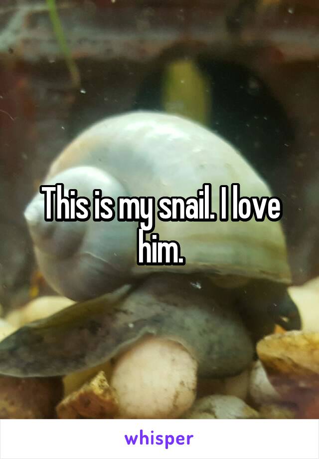 This is my snail. I love him.