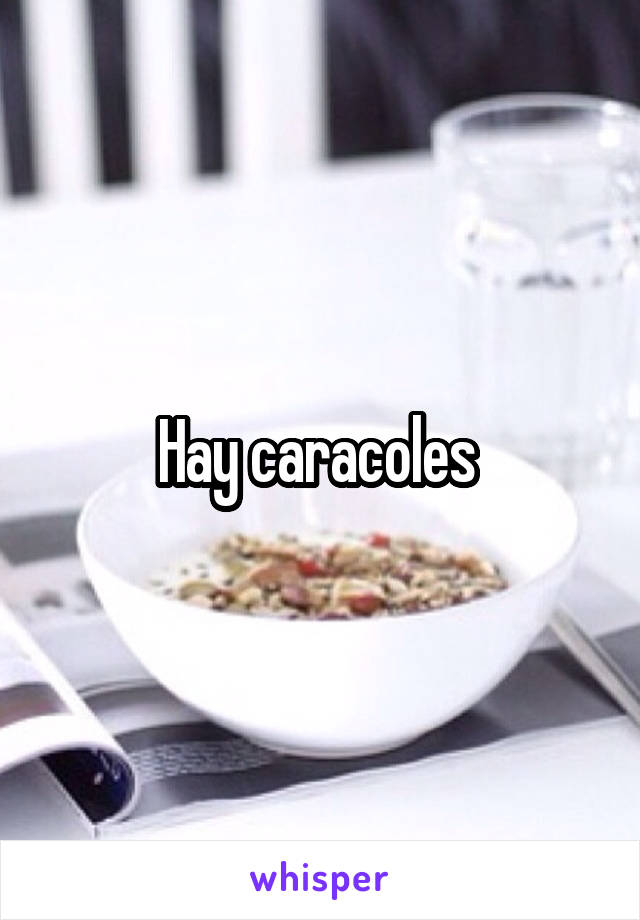 Hay caracoles 